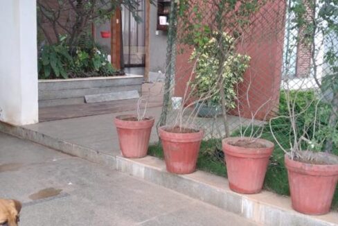 WhatsApp Image 2020-12-30 at 3.22.51 PM (2)