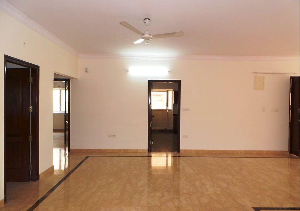 WhatsApp Image 2021-02-17 at 5.57.47 PM (1)