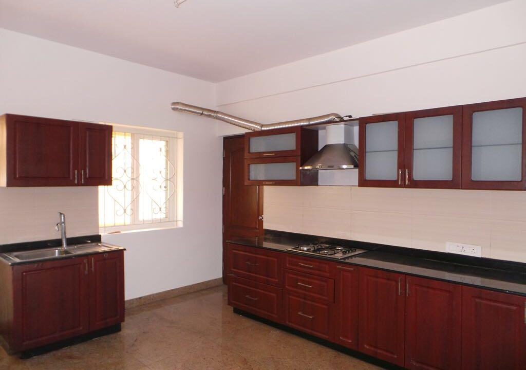 WhatsApp Image 2021-02-17 at 5.57.47 PM (2)