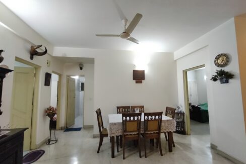 IMG20211017192043 - Copy - Copy