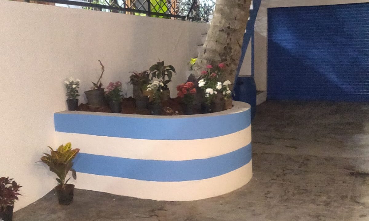 WhatsApp Image 2021-11-02 at 11.41.19 AM