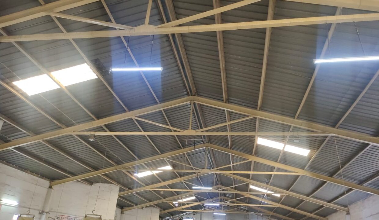 WhatsApp Image 2021-11-06 at 2.13.24 PM