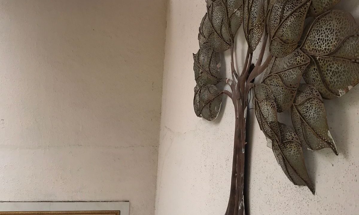 WhatsApp Image 2021-11-24 at 4.39.53 PM