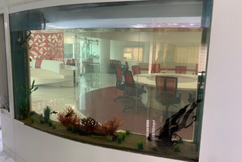 WhatsApp Image 2020-02-05 at 12.27.34 PM (2)