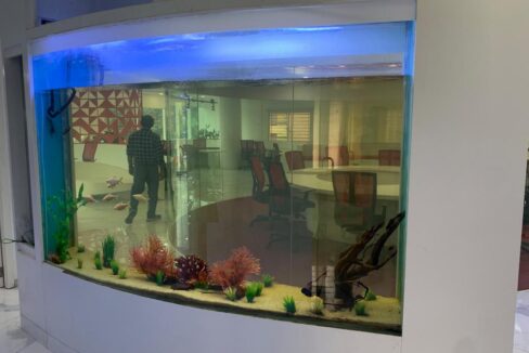 WhatsApp Image 2020-02-05 at 12.27.36 PM