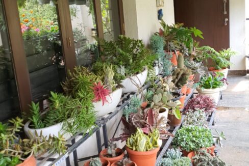 WhatsApp Image 2022-02-01 at 11.25.17 AM