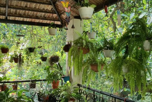 WhatsApp Image 2022-02-01 at 11.25.19 AM