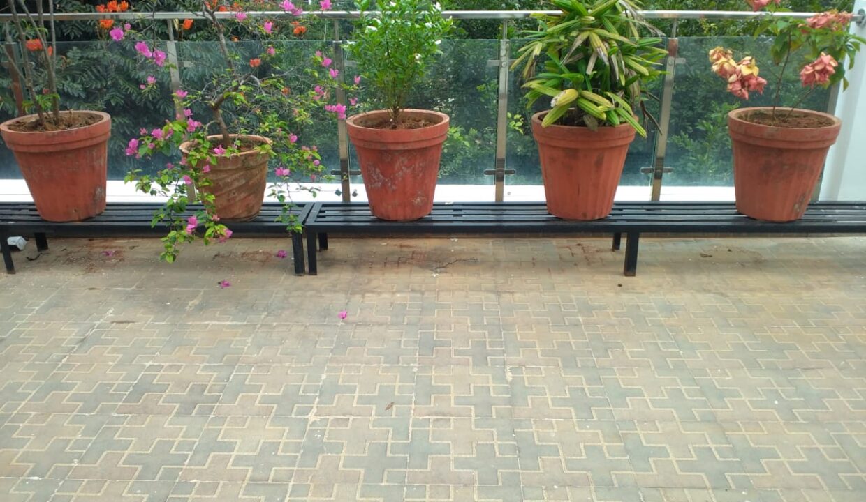 WhatsApp Image 2022-02-02 at 12.34.23 PM (2)