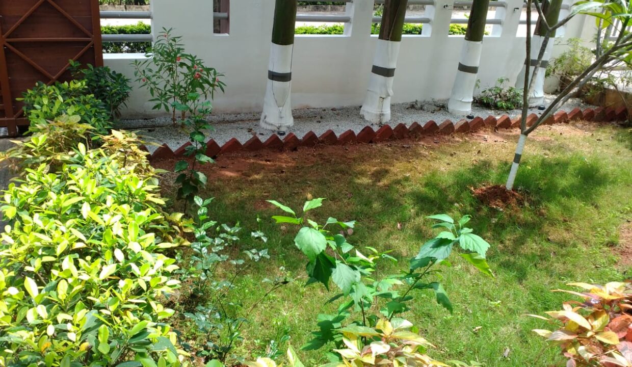 WhatsApp Image 2022-02-02 at 12.34.26 PM