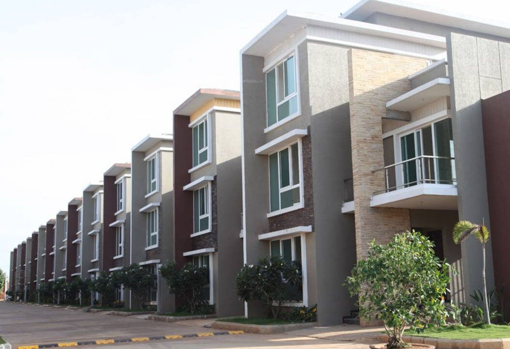 crystal-cove-elevation-13885308