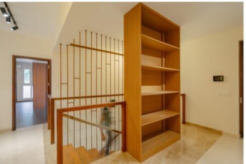 WhatsApp Image 2022-03-12 at 2.02.33 PM