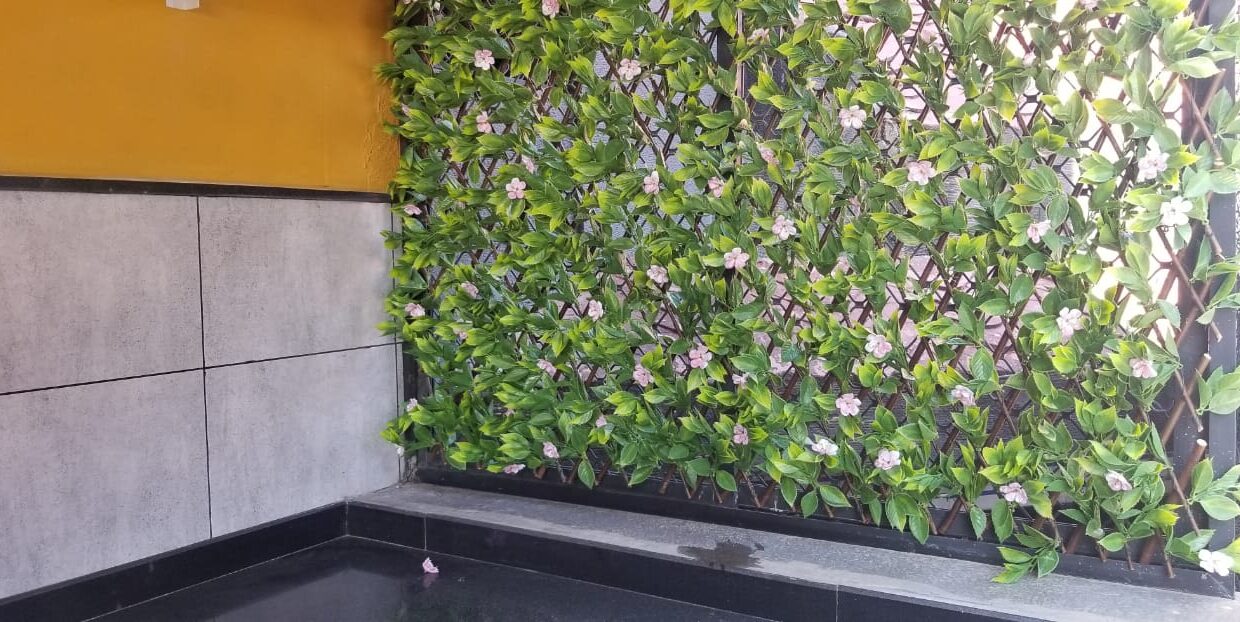 WhatsApp Image 2022-04-25 at 6.55.16 PM (2)