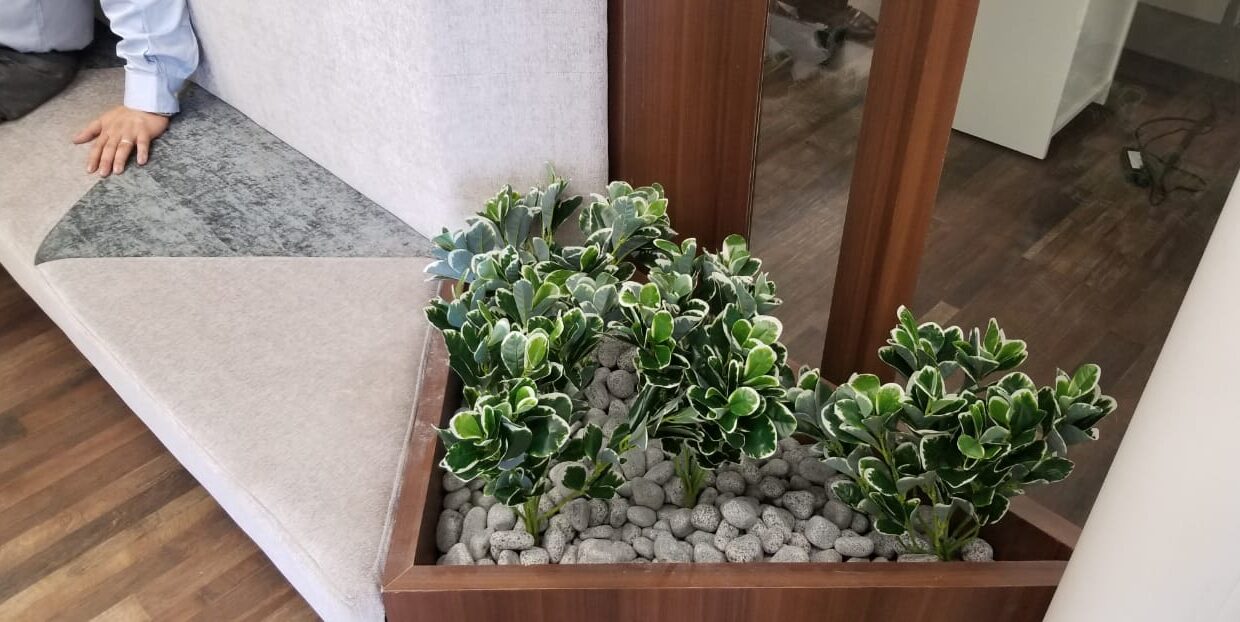 WhatsApp Image 2022-04-25 at 6.55.17 PM (1)