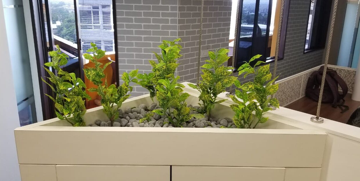 WhatsApp Image 2022-04-25 at 6.55.17 PM