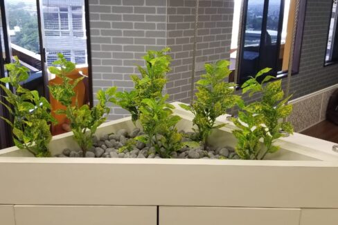 WhatsApp Image 2022-04-25 at 6.55.17 PM