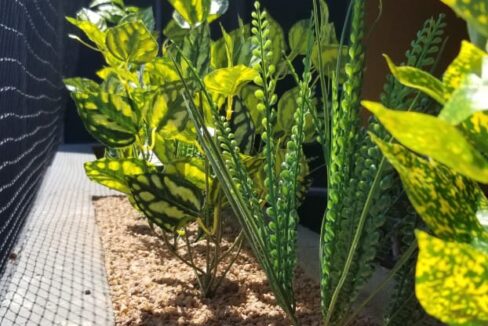 WhatsApp Image 2022-04-25 at 6.55.18 PM