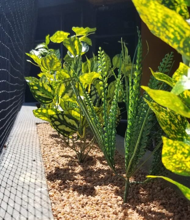 WhatsApp Image 2022-04-25 at 6.55.18 PM