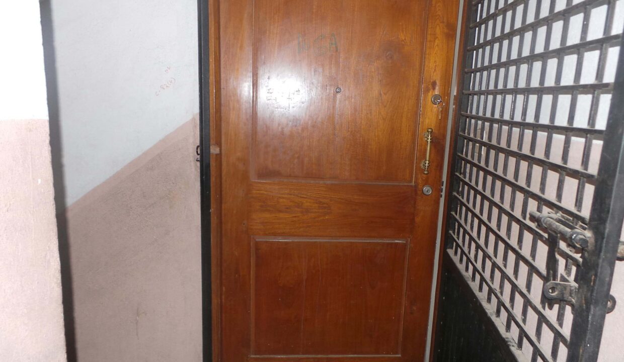 30316119O-1659939305917