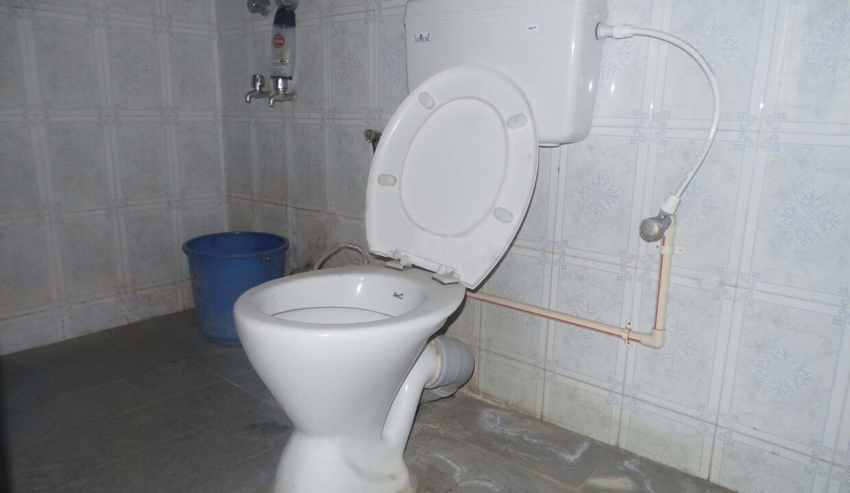 30316123O-1659939307354