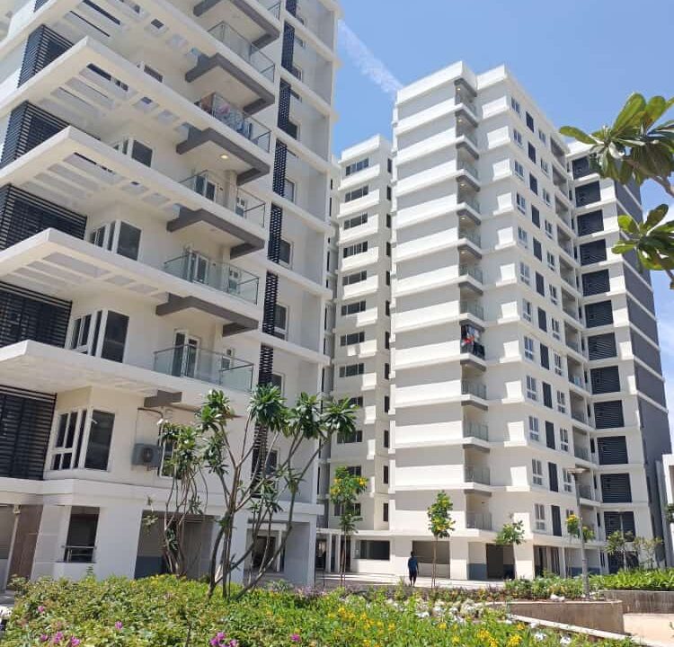 WhatsApp Image 2022-09-28 at 12.19.50