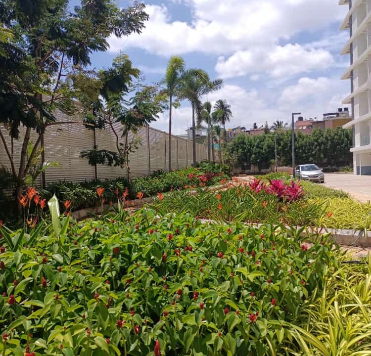 WhatsApp Image 2022-09-28 at 12.19.51