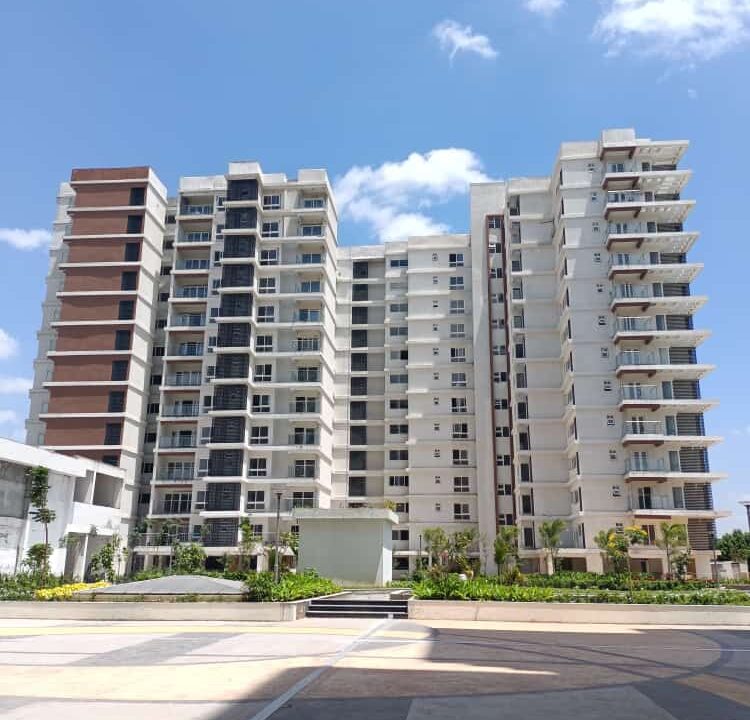 WhatsApp Image 2022-09-28 at 12.19.52