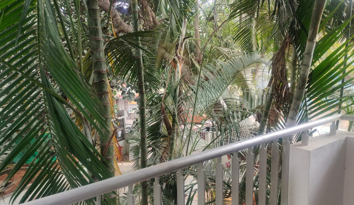 9bdb59c6-dfc7-446b-adc1-11d938581fdc