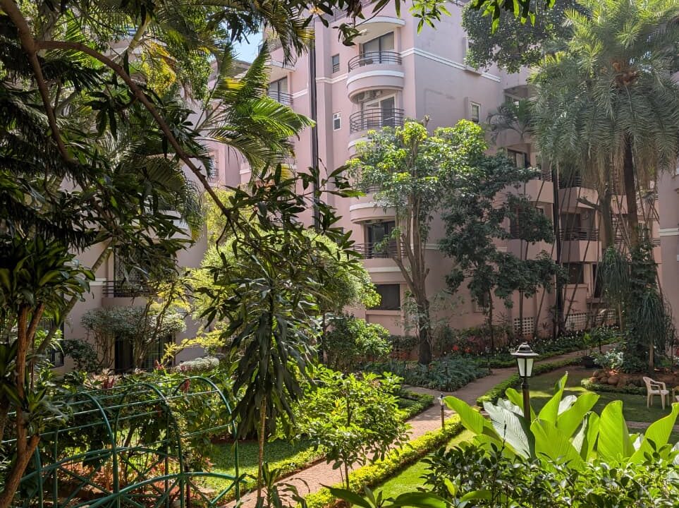 WhatsApp Image 2026-01-15 at 16.26.37