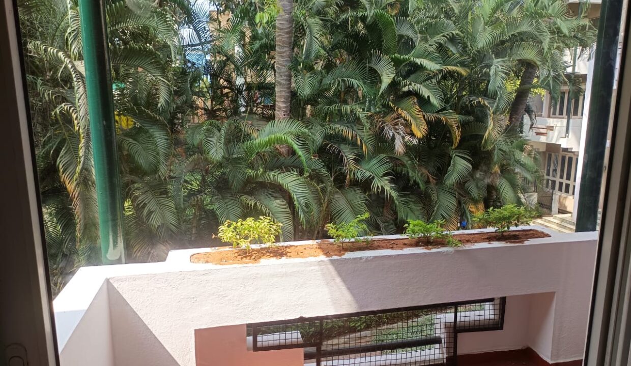 WhatsApp Image 2026-01-17 at 14.51.20