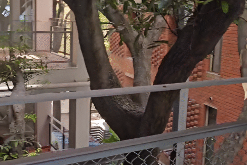 rs12-Picsart-AiImageEnhancer