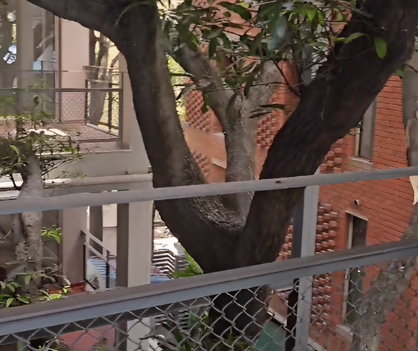 rs12-Picsart-AiImageEnhancer