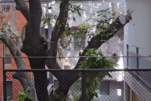 rs4-Picsart-AiImageEnhancer