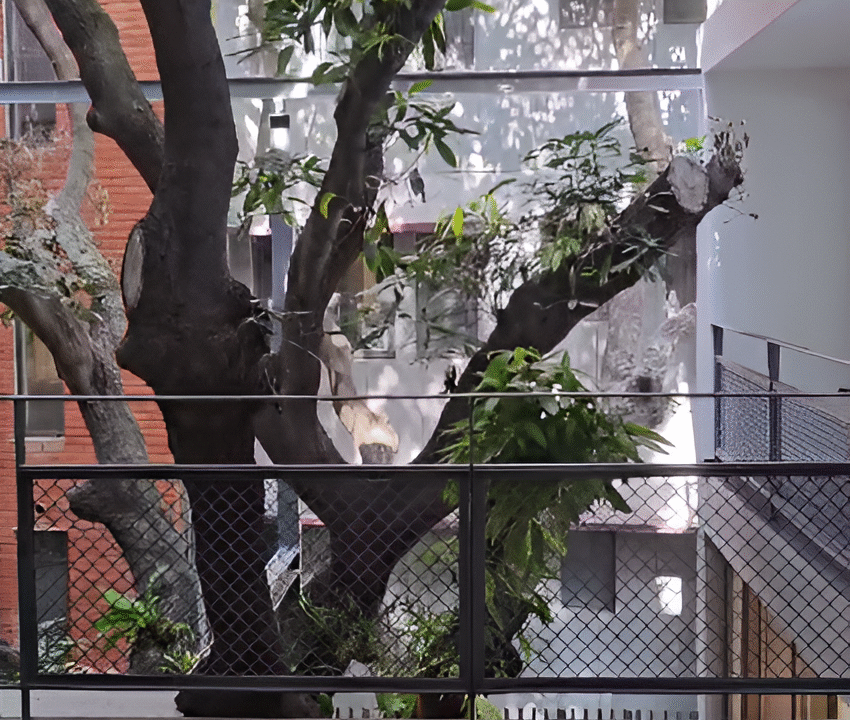 rs4-Picsart-AiImageEnhancer