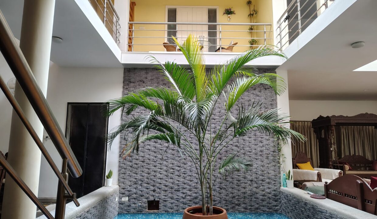 WhatsApp Image 2026-02-12 at 10.16.39