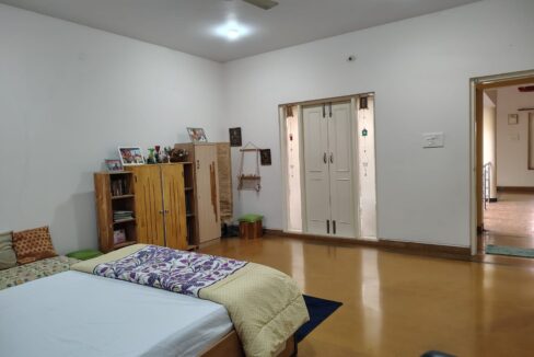 WhatsApp Image 2026-02-12 at 10.16.57 (1)