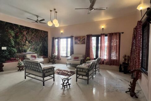 WhatsApp Image 2026-02-12 at 15.31.09