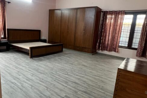 WhatsApp Image 2026-02-12 at 15.31.10