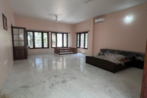 WhatsApp Image 2026-02-12 at 15.31.13