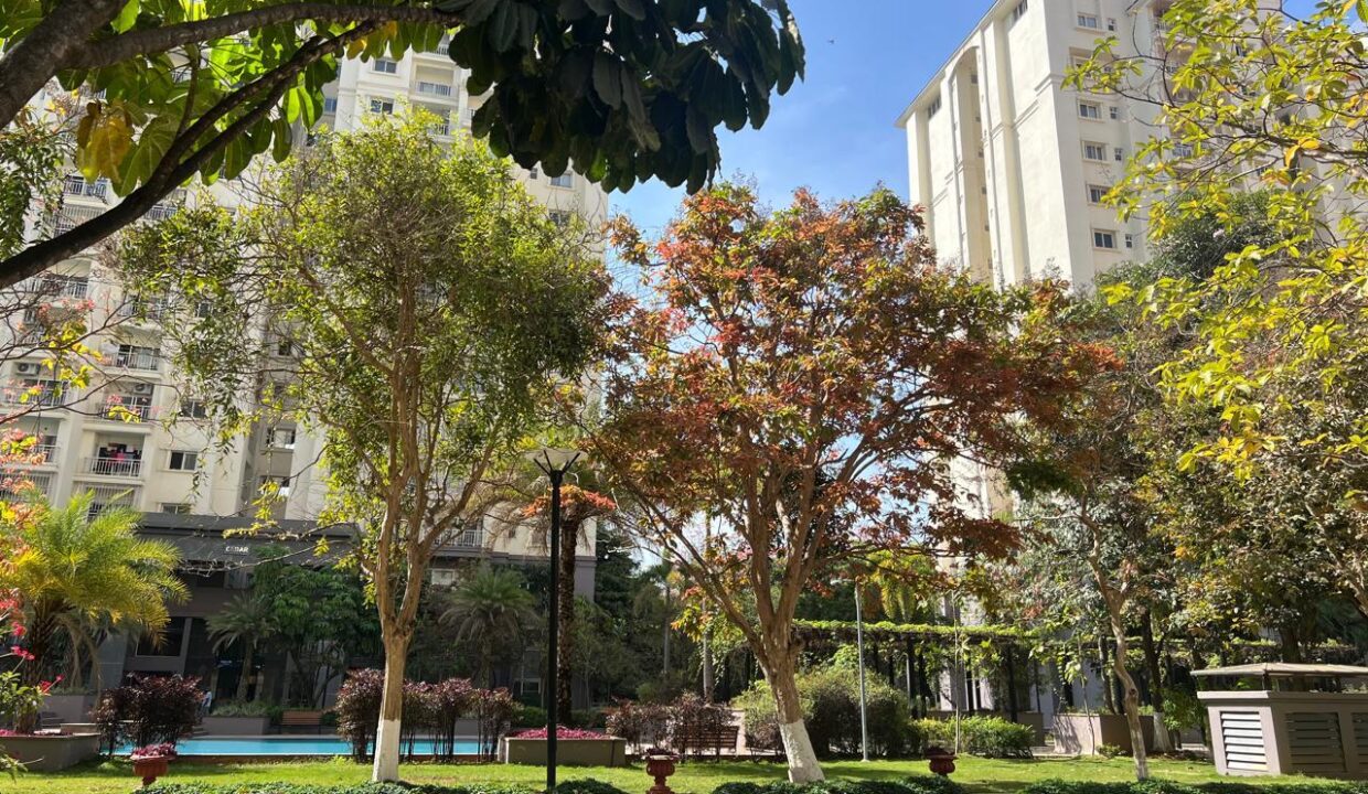 WhatsApp Image 2026-04-21 at 17.52.31 (1)