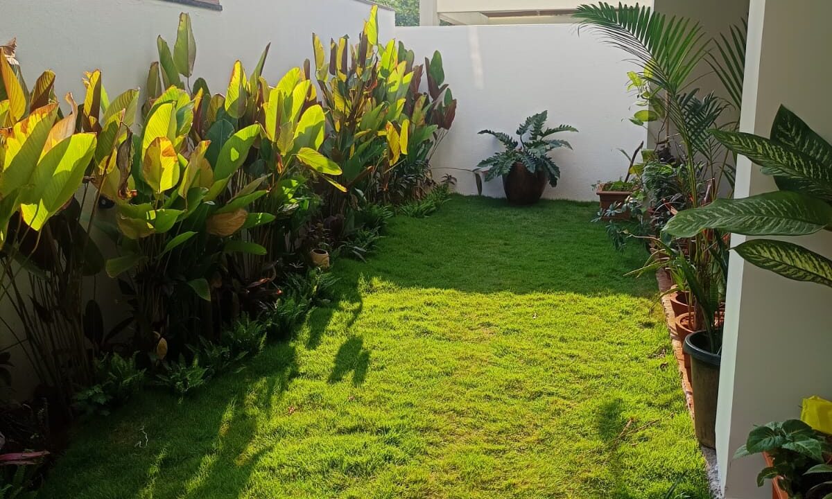 WhatsApp Image 2026-04-22 at 17.46.44