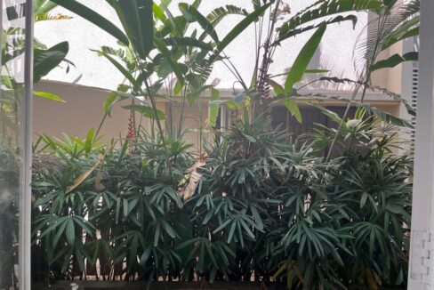 WhatsApp Image 2026-04-23 at 19.02.17 (3)